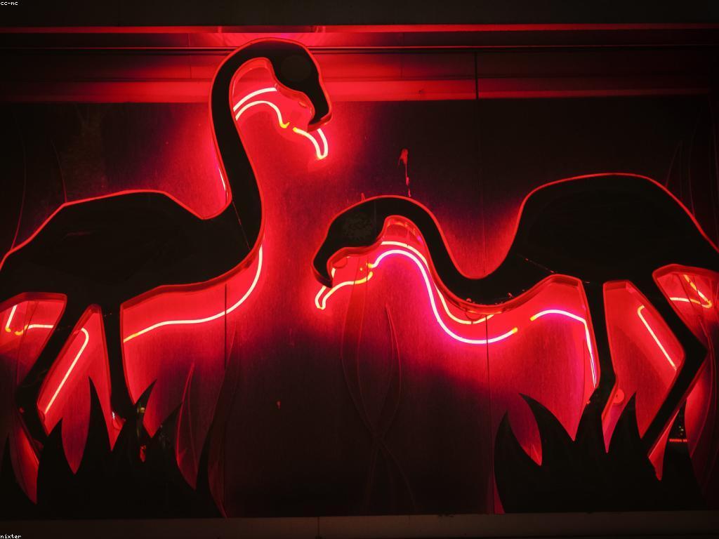 ការបង្ហាញកាស៊ីណូ: ទស្សនៈនៃហេតុការណ៍