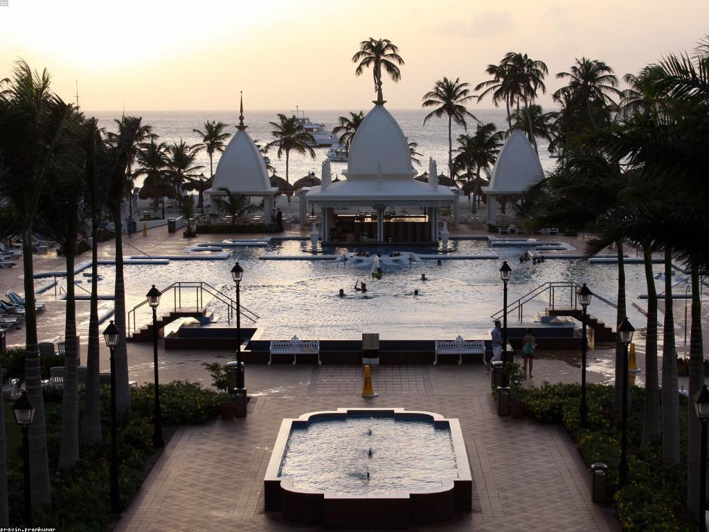 ការបង្ហាញកាស៊ីណូ: ប្រវត្តិ និង អនាគត